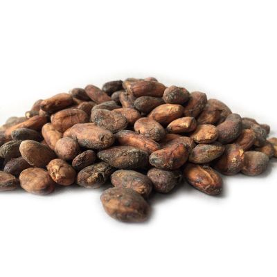 cocoa bean showcase