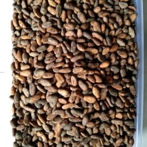 Cocoa Beans Grade02