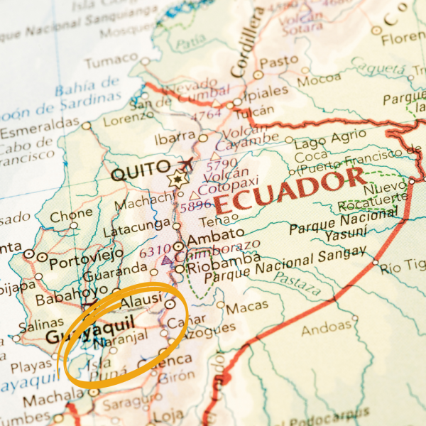Unsweetened Chocolate Fino Cacao Naranjal - Ecuadorian Regional - Image 2