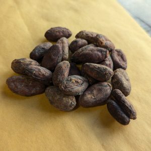 Peruvian Marañon Nacional Antiguo Cacao Beans