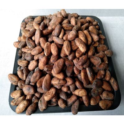 coco beans grade 1